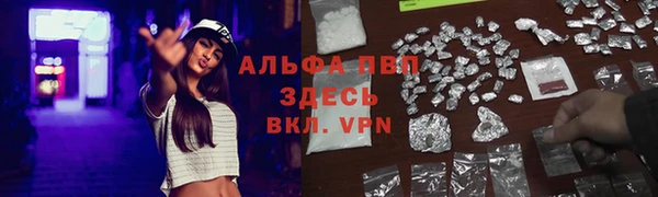 дживик Абаза