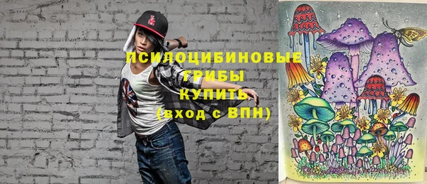 дживик Абаза