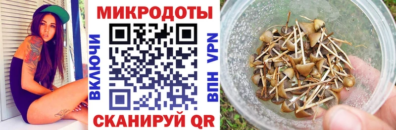 Псилоцибиновые грибы прущие грибы  что такое наркотик  Отрадный 